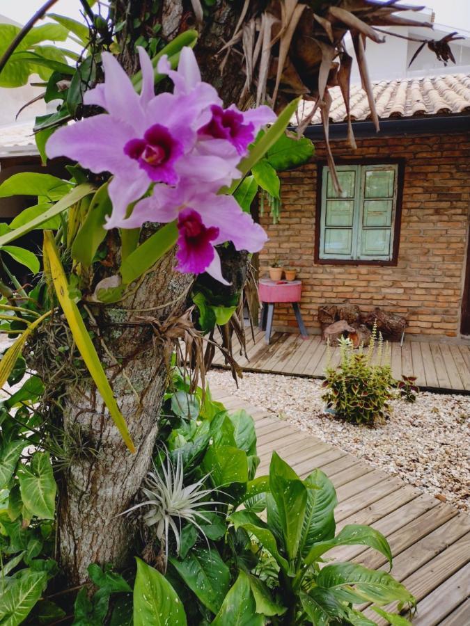 Mana Mariscal Hospedagem บอมบินญัส ภายนอก รูปภาพ